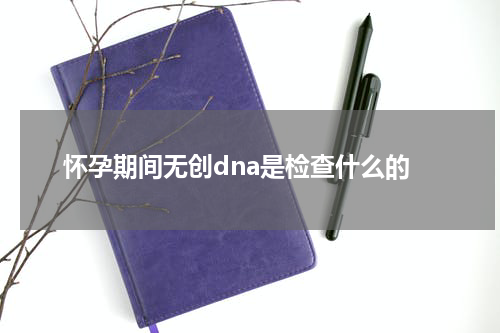 怀孕期间无创dna是检查什么的