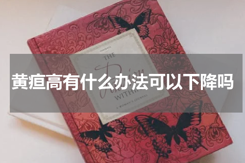 黄疸高有什么办法可以下降吗