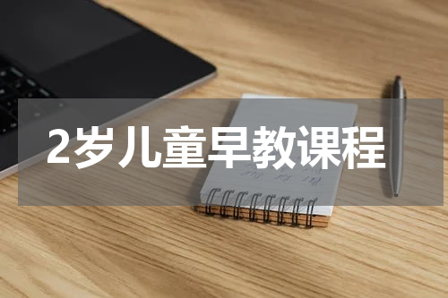 2岁儿童早教课程