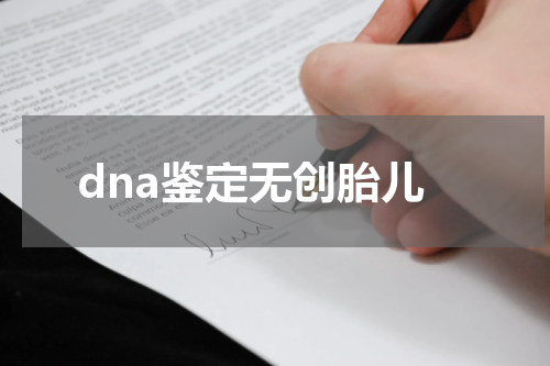 dna鉴定无创胎儿