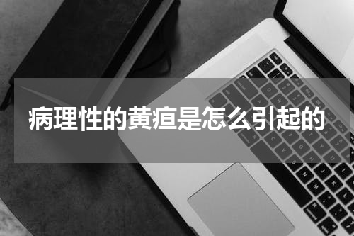 病理性的黄疸是怎么引起的