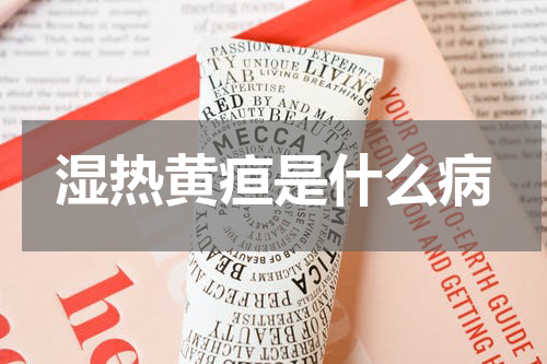 湿热黄疸是什么病