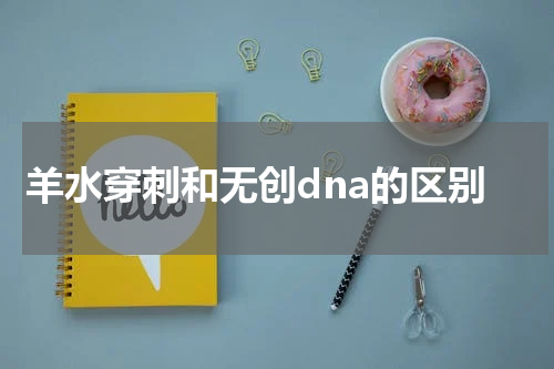 羊水穿刺和无创dna的区别