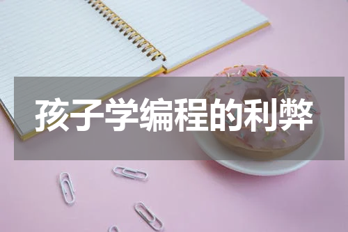 孩子学编程的利弊
