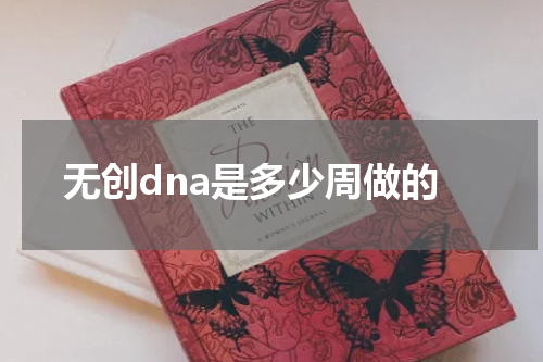无创dna是多少周做的