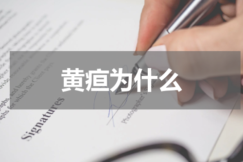 黄疸为什么