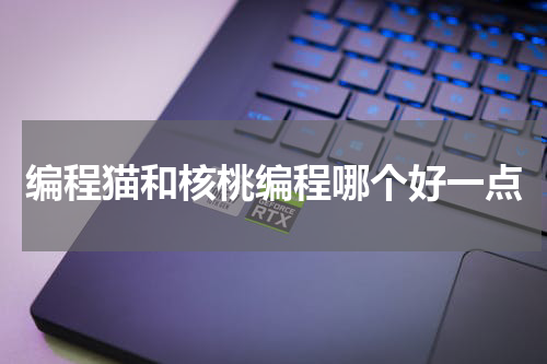 编程猫和核桃编程哪个好一点