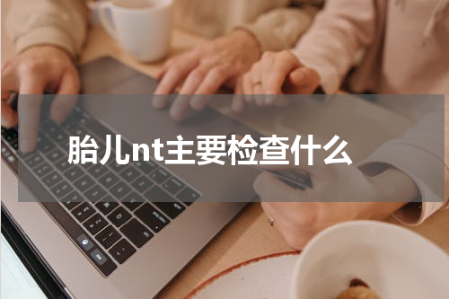 胎儿nt主要检查什么