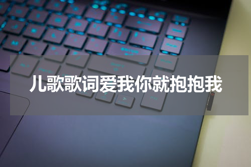 儿歌歌词爱我你就抱抱我