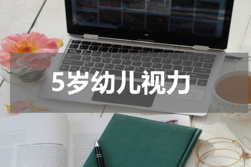 5岁幼儿视力