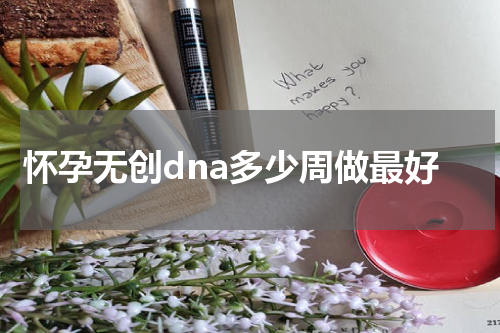 怀孕无创dna多少周做最好