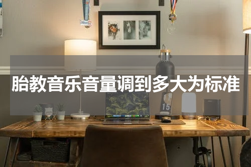 胎教音乐音量调到多大为标准