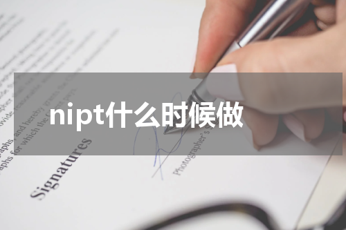 nipt什么时候做