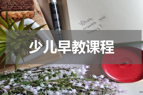 少儿早教课程