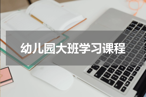 幼儿园大班学习课程
