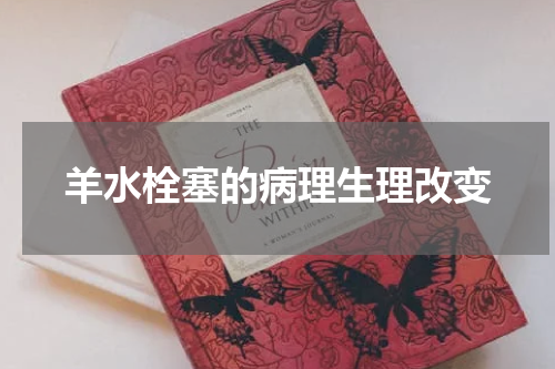 羊水栓塞的病理生理改变
