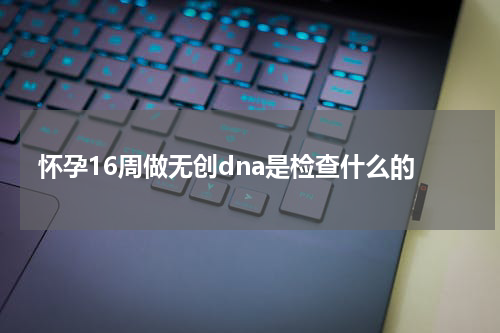 怀孕16周做无创dna是检查什么的