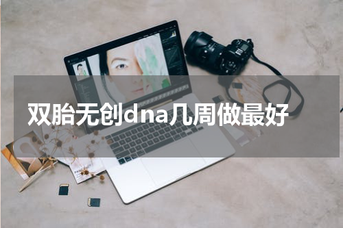双胎无创dna几周做最好