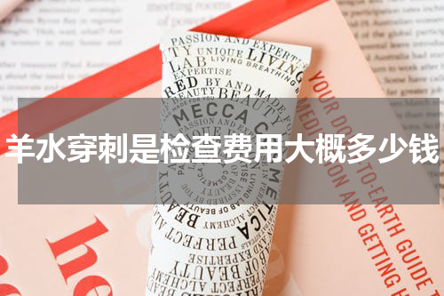 羊水穿刺是检查费用大概多少钱