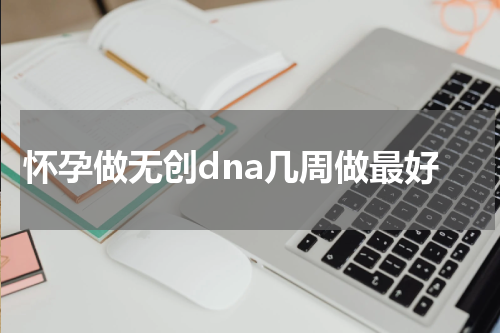 怀孕做无创dna几周做最好