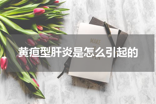 黄疸型肝炎是怎么引起的