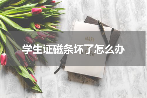 学生证磁条坏了怎么办