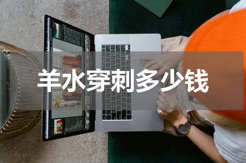 羊水穿刺多少钱