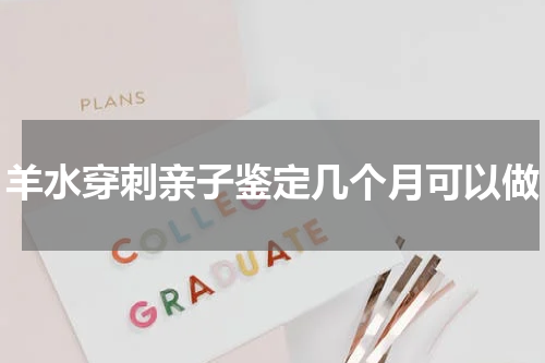 羊水穿刺亲子鉴定几个月可以做