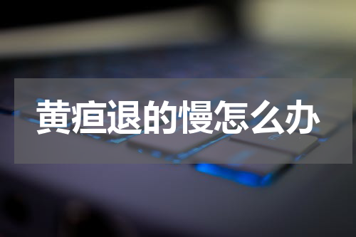 黄疸退的慢怎么办