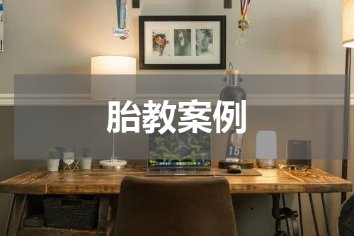 胎教案例
