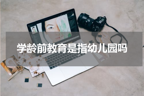 学龄前教育是指幼儿园吗