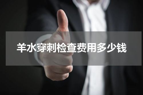 羊水穿刺检查费用多少钱