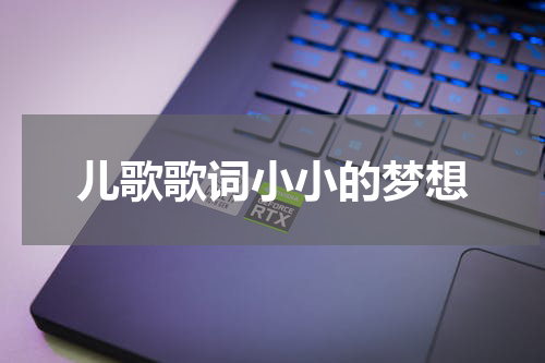 儿歌歌词小小的梦想