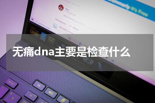 无痛dna主要是检查什么
