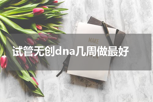 试管无创dna几周做最好