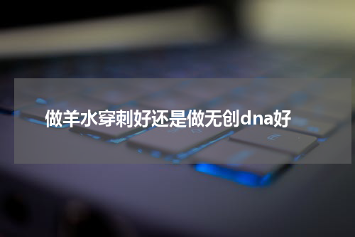 做羊水穿刺好还是做无创dna好