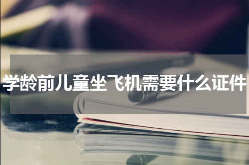 学龄前儿童坐飞机需要什么证件