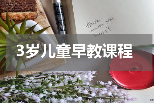 3岁儿童早教课程