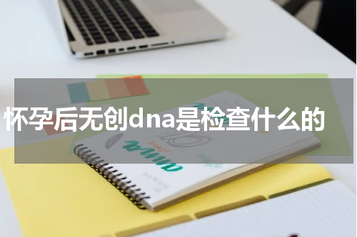 怀孕后无创dna是检查什么的