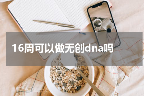 16周可以做无创dna吗