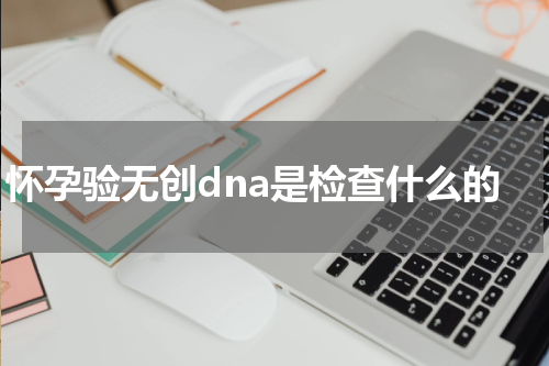 怀孕验无创dna是检查什么的