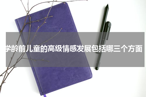 学龄前儿童的高级情感发展包括哪三个方面