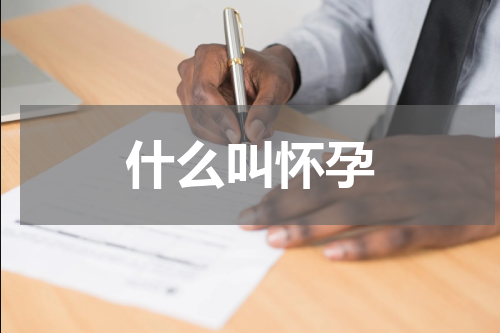 什么叫怀孕