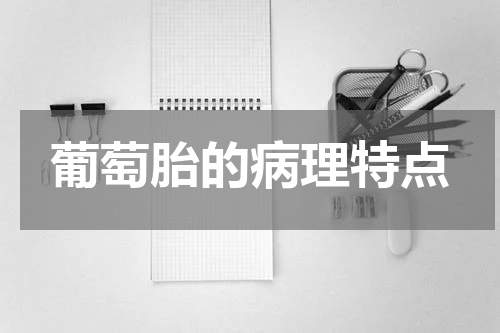 葡萄胎的病理特点