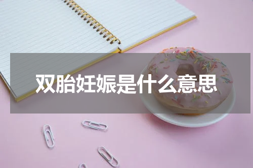 双胎妊娠是什么意思