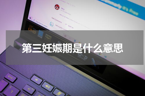 第三妊娠期是什么意思