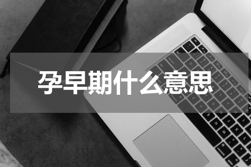 孕早期什么意思