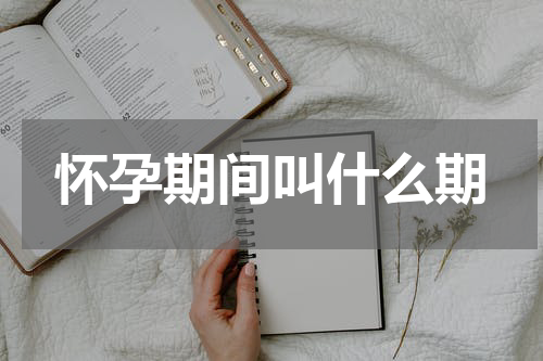 怀孕期间叫什么期