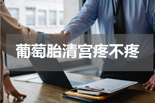 葡萄胎清宫疼不疼