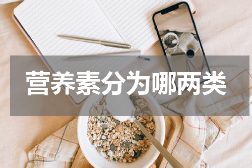 营养素分为哪两类